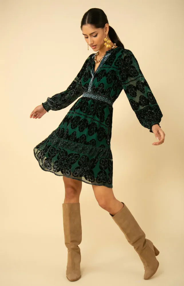 Hale bob velvet dress 2025